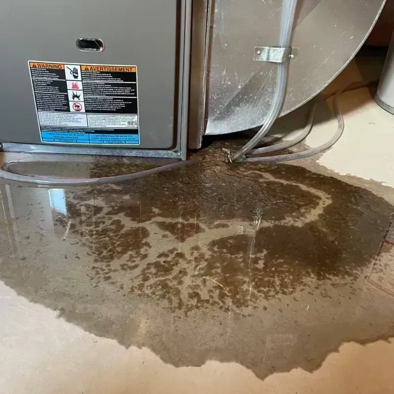 Appliance Leak Cleanup in Knox County, MO